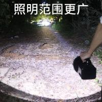 久量（DP） DP-771 强光手电筒 20W+ 黑色（单位：台）