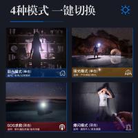 飞利浦（PHILIPS） SFL1236 手电筒 38*25*168mm 蓝色（单位：个）