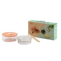 艾格莱雅（Aglaia） A-BX03-3/L2 花季系列负压保鲜盒 两件套(单位：套) 大碗+小碗