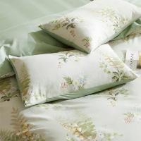 金丝莉（KINTHERI） SX-238 奢享全棉四件套 被套200*230cm床单230*250cm枕套48*74cm*2 (单位:套)