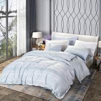 富安娜（fuanna）伊赛贝尔 加大床品四件套 被套230*229cm 床单260*250cm 枕套74*48cm*2（单位：套）蓝色