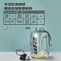 富光（FUGUANG） WFS1088-2600 乐动力大容量TRITAN材质吨吨桶塑料杯 2600ml（单位：只）灰色