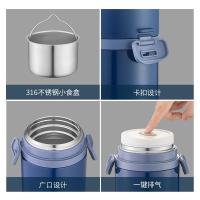 泰福高 T2294/95 臻享焖烧饭盒 1.1L 含保温袋筷勺 (单位:个) 颜色随机