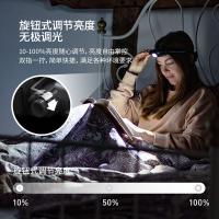 莱德雷神（LEDLENSER） H7R Core 头灯 变焦充电款 6000-7500K(单位：个)