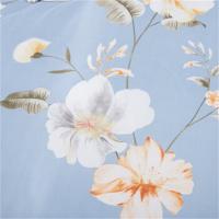 奥特佳（ORTEGA） ATJ186 柔肤棉四件套 被套200*230cm床单230*240cm枕套48*75cm*2 (单位: 套)蓝色