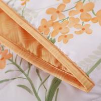 恒源祥（HYX） HYX185BZ-DZ 花朵朵柔软夏凉被 200*230cm (单位:床)