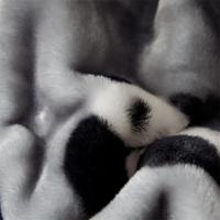 恒源祥（HYX） HYXXYX180220001 双层保暖毯子熊猫嘟嘟 180*220cm （单位:条）