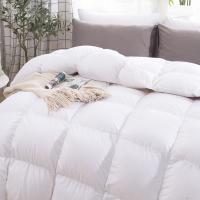 奥芙妮 臻品羽丝绒被 N-D23101 200*230cm (单位:床) 白色