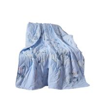 唐纳家纺 TN-ZB24025 盛夏经典磨毛夏被 180*200cm 850g（单位：床）