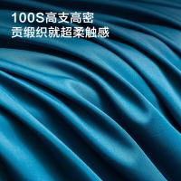 京东京造 100支长绒棉轻奢床单款植素超柔贡缎 床上四件套 被套:220x240cm 床单:270x245cm 枕套:48x74cm*2  （单位：套）月影蓝
