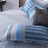 唐纳家纺 TN-ZB24020 生态棉-格韵床品四件套 被套200*230cm 床单230*230cm 枕套48*74cm*2 （单位：套） 蓝色