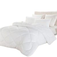 梦洁家纺 1010289087AM001 纯臻大豆厚被 200*230cm 2000g (单位:条)