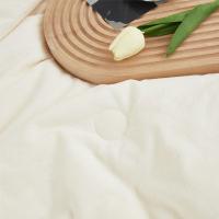 唐纳家纺 TN-ZB24022 大豆被 A类全棉 150*200cm （单位：床）