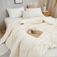 唐纳家纺 TN-ZB24022 大豆被 A类全棉 150*200cm （单位：床）