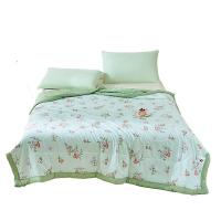 罗曼罗兰 R-xb009 浆果拾光大豆水洗夏被 150X200CM (单位: 床)