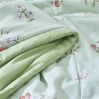 罗曼罗兰 R-xb009 浆果拾光大豆水洗夏被 150X200CM (单位: 床)