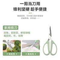 爱仕达（ASD） RGS18E1WG 独立装 不锈钢剪刀(单位： 把) 薄荷绿