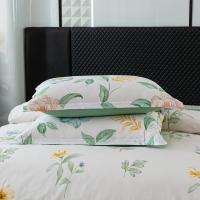 红蜻蜓 HQT-TJ8501 时尚全棉四件套-清韵悠梦 被套200*230cm 床单230*250cm 枕套48*74cm*2（单位：套）