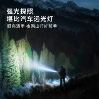 久量（DP） DP-7320 手电筒 2800mAh 黑色（单位：台）