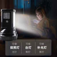 久量（DP） DP-7320 手电筒 2800mAh 黑色（单位：台）