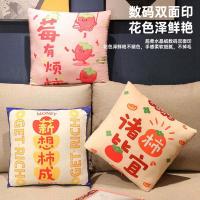 红豆 心愿抱枕被 YLHXY-040 40*40cm (单位:个) 图案随机