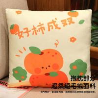 红豆 心愿抱枕被 YLHXY-040 40*40cm (单位:个) 图案随机