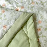 奥特佳（ORTEGA）001-020028双层纱春秋被200cm*230cm多色随机发（单位：床）