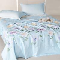 红秀世纺 SF2302-T005 润园春夏被 150x200cm （单位：条）