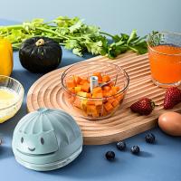 艾逸瑶选CJ-21035 普斯科手动料理器捣蒜器  7*7cm  蓝色（单位：个）