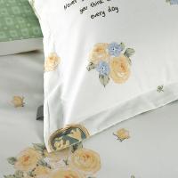 喜芙妮（SOFTNIE） XF-T2401 床品四件套被套200*230cm床单220*240cm枕套50*80cm*2 （单位：套）绿白色