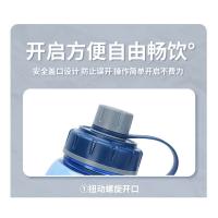 贝格帝 BGD-B1500 经典太空杯 1500ml（单位：个） 多色随机