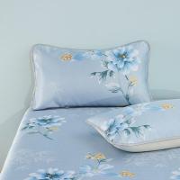 路易卡罗（Louis Kellog） LK-0751 馨雅水洗冰丝席三件套 席子200*230cm 枕套48*74cm*2 (单位:套)