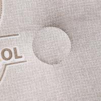 洁丽雅（grace） JLY-SM669 抗菌防螨被  规格：200x230cm （单位：床）