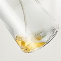 炊大皇（COOKER KING） 雾化喷油壶 YH09WH 470ml (单位:个)