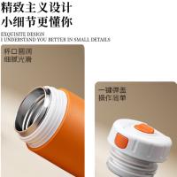典小圣 V431S05D 保温杯 550ml （单位:个） 颜色随机
