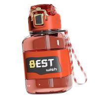 百斯克 艾特吸管方形杯 BSK-9125 850ml (单位:个) 颜色随机