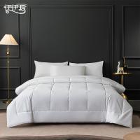 伊伊爱 BZ0JD02401257 磨毛布酒店公寓被芯 200*230cm 约5.4斤 白色 (单位:条)