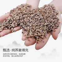 恒源祥（HYX） HYZT02养生荞麦枕芯 单个可脱卸升级款  48*74cm 15只/箱 (单位:只) 新老包装随机发货 白色