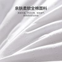 恒源祥（HYX） HYZT02养生荞麦枕芯 单个可脱卸升级款  48*74cm 15只/箱 (单位:只) 新老包装随机发货 白色