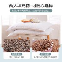 恒源祥（HYX） HYZT02养生荞麦枕芯 单个可脱卸升级款  48*74cm 15只/箱 (单位:只) 新老包装随机发货 白色