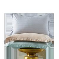 故园（homeshine） ZZ24001 玻尿酸养颜枕套 48*74cm*2（单位：套）颜色随机