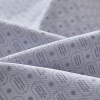 红秀世纺 GXSF2504-T01 冰悦数码纹席 凉席180*200cm+枕套48*74cm*2（单位：套）