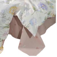 德泽DZ-JFYJ0518 纯棉活性四件套 枕套48*74cm*2 床单230*250cm被套200*230cm（单位：套）