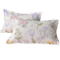 德泽DZ-JFYJ0518 纯棉活性四件套 枕套48*74cm*2 床单230*250cm被套200*230cm（单位：套）