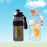 荣事达（Royalstar） RSDBJ027-FJ 双饮随行杯塑料杯 800ml (单位: 个)颜色随机