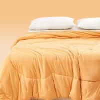 红秀世纺 SF2503-T001 黄油小熊被 200×230cm (单位: 床)