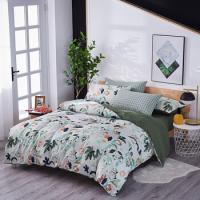 天琴（TISEN）TQ-T130 绿野仙踪-银离子四件套 床单230*250cm 被罩200*230cm 枕套48*74cm（单位：套）