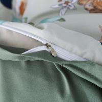 天琴（TISEN）TQ-T130 绿野仙踪-银离子四件套 床单230*250cm 被罩200*230cm 枕套48*74cm（单位：套）