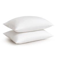 水星家纺（MERCURY） 思梦抗菌对枕 130552 48cm×74cm×2 (单位:对)