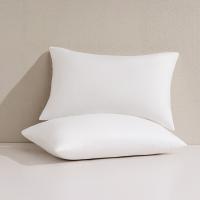 水星家纺（MERCURY） 思梦抗菌对枕 130552 48cm×74cm×2 (单位:对)